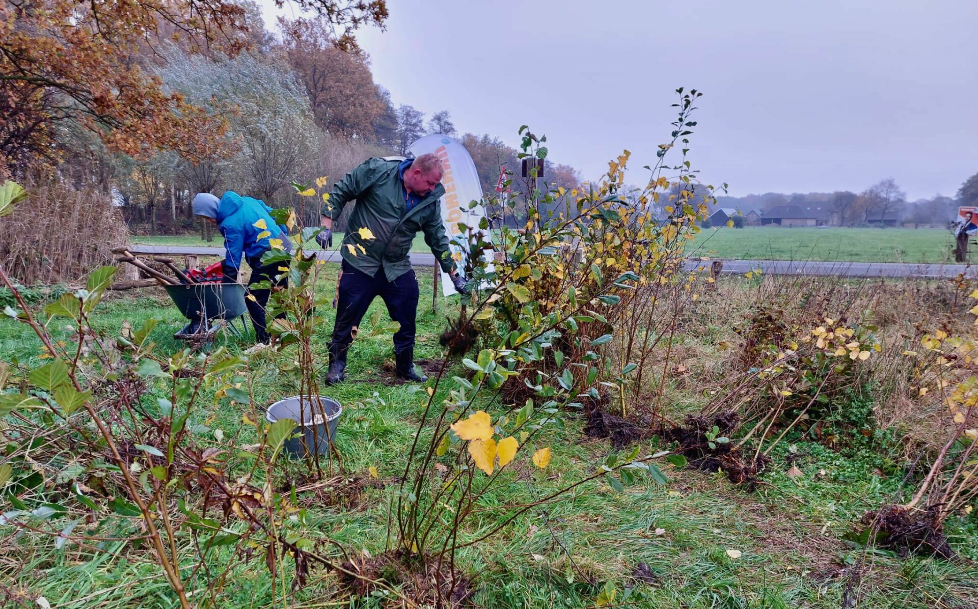 What does a tree hub do?