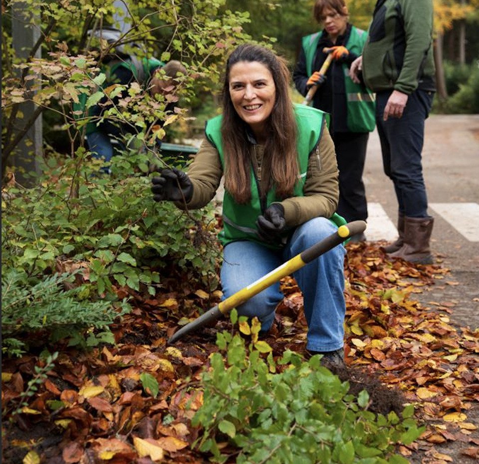What is a harvest day?