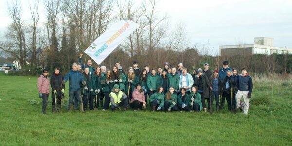 EasyTreesieFingalBaypark