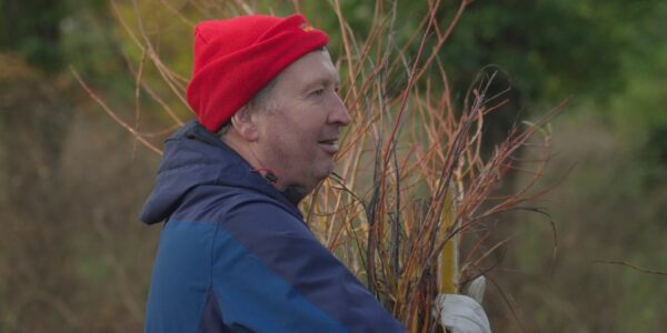 Explainer Planten thumb
