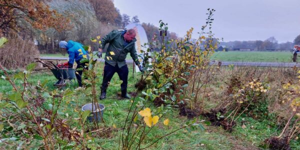 PHOTO-2023-11-18-18-07-11